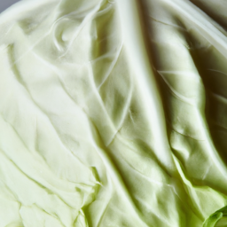 White Cabbage: A Refreshing and Nutritious Addition to Your Diet