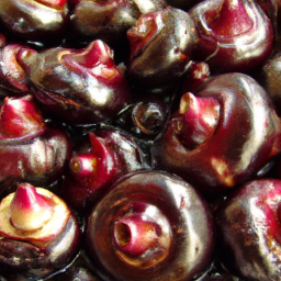 Water Chestnut: A Refreshing and Nutritious Addition to Your Diet