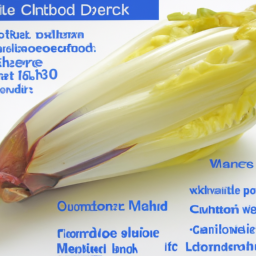 The Nutritional Benefits of Chicory: A Comprehensive Guide