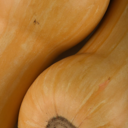 Butternut Squash: A Low-Calorie, High-Nutrient Superfood