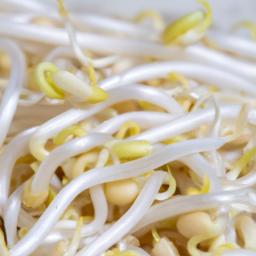 Discover the Nutritional Value of Bean Sprouts
